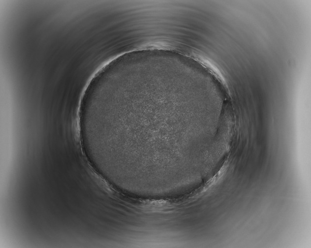 X0000095950784200801251129