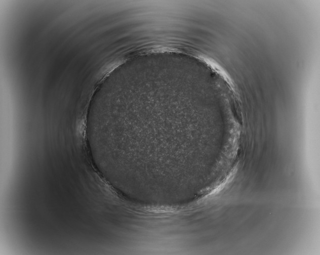 X0000095950785200801251129