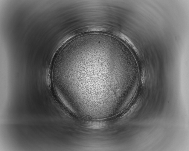 X0000095950786200801251129