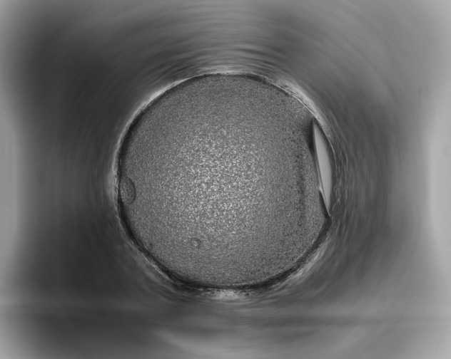 X0000095950787200801251129