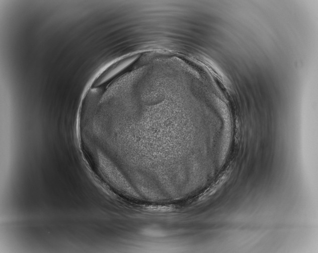 X0000095950788200801251129