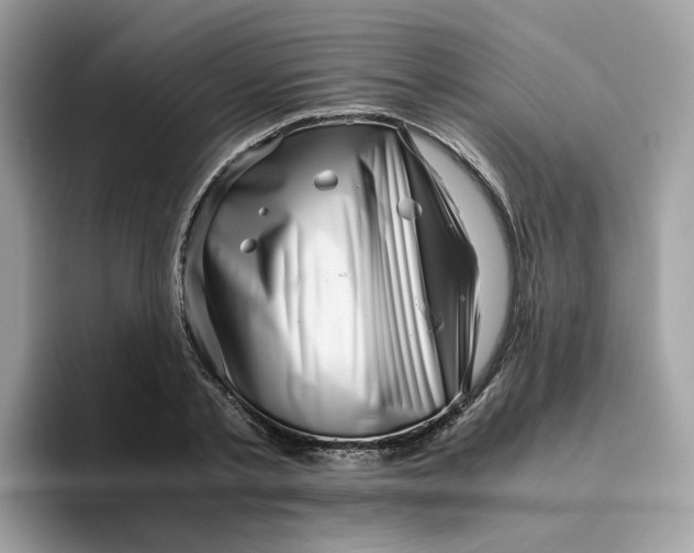 X0000095950789200801251129