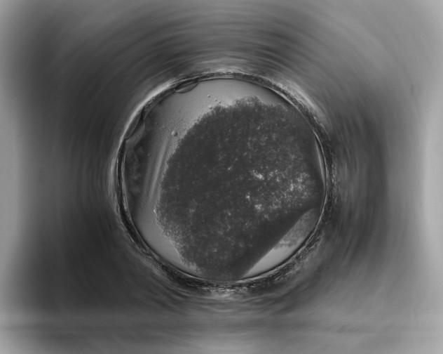 X0000095950790200801251129