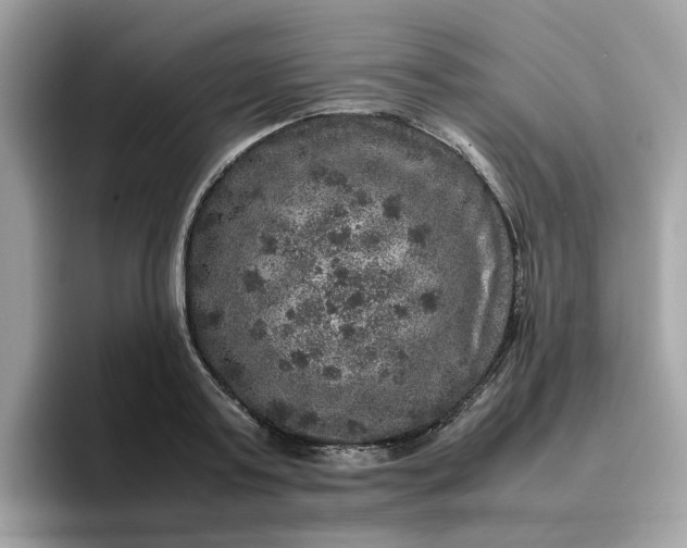 X0000095950795200801251129