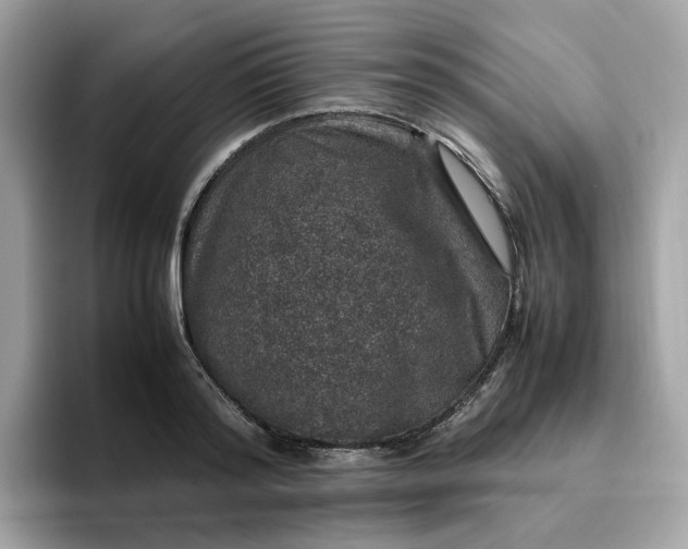 X0000095950796200801251129