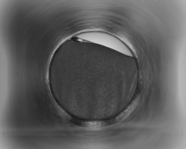 X0000095950797200801251129