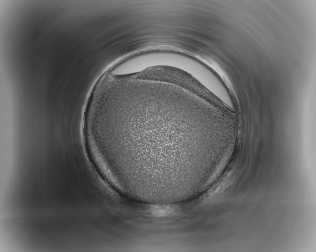 X0000095950799200801251129