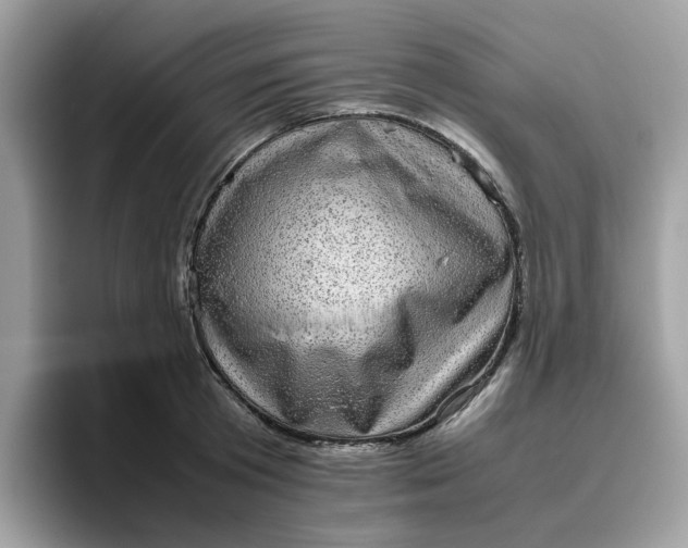 X0000095950801200801251129