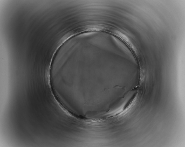 X0000095950802200801251129