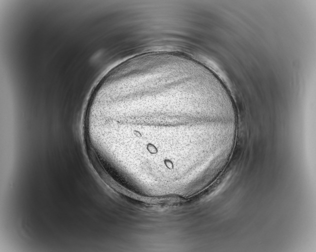 X0000095950803200801251129