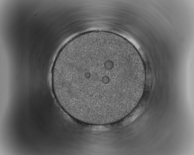 X0000095950807200801251129