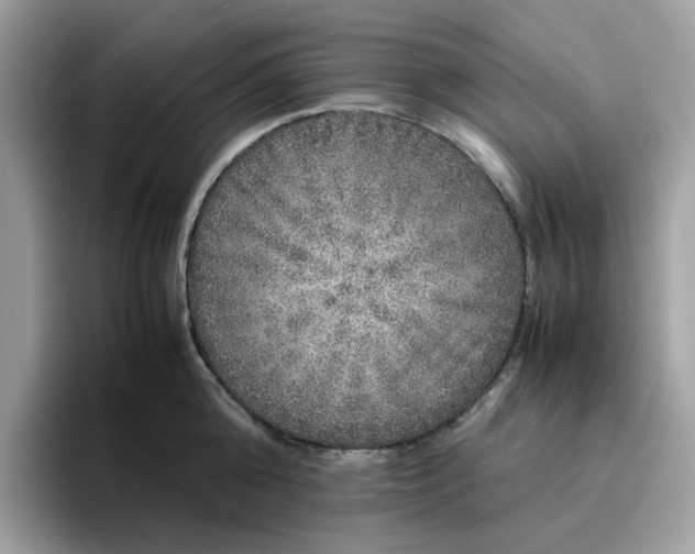 X0000095950808200801251129