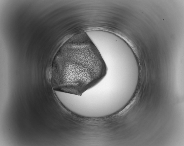 X0000095950809200801251129