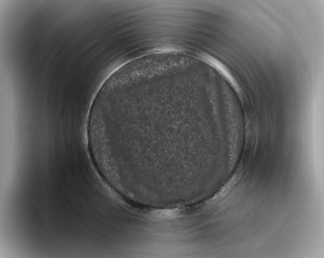 X0000095950810200801251129