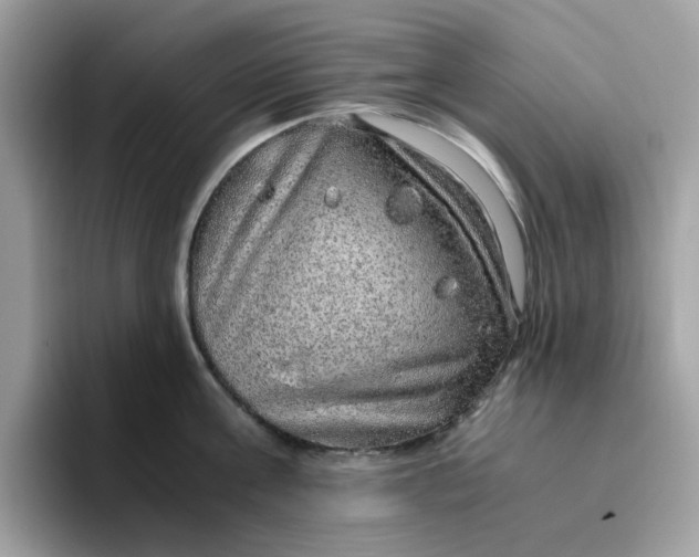 X0000095950811200801251129