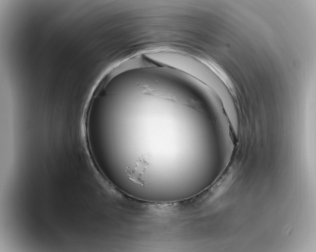 X0000095950813200801251129