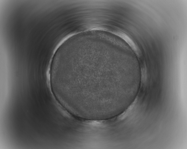 X0000095950814200801251129