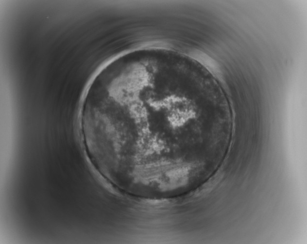 X0000095950816200801251129