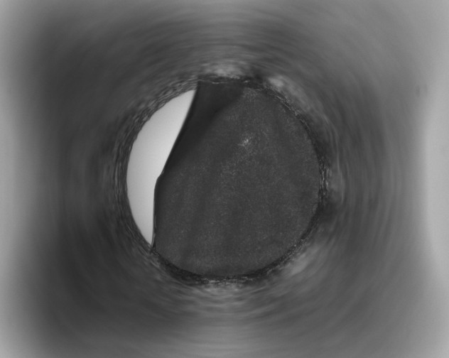 X0000095950818200801251128