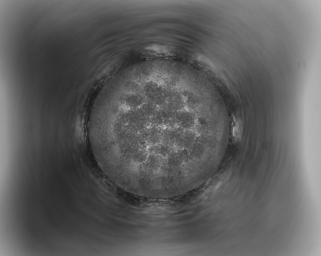 X0000095950819200801251128