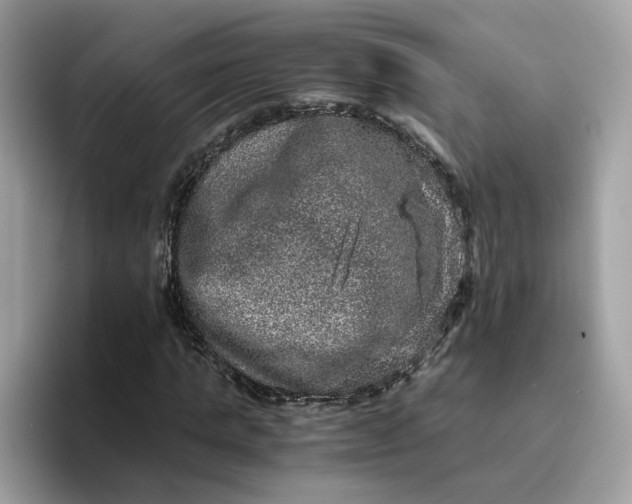 X0000095950821200801251128