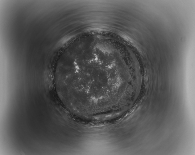 X0000095950822200801251128