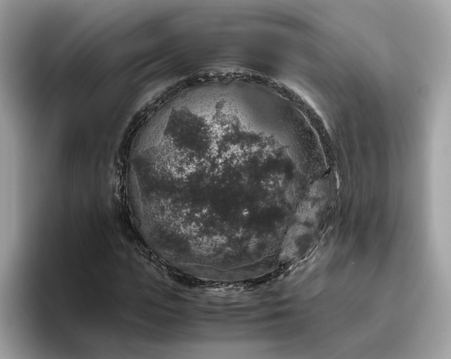 X0000095950823200801251128