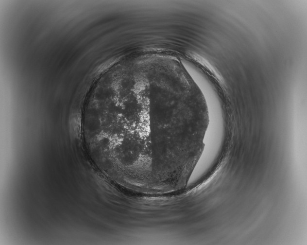 X0000095950825200801251128