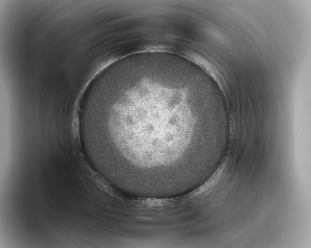 X0000095950827200801251128