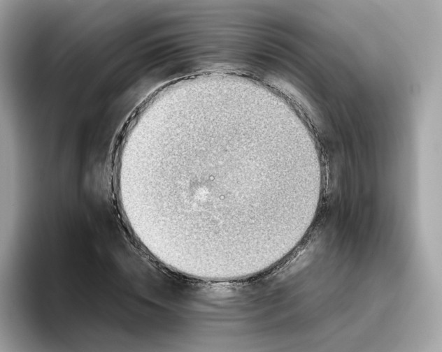 X0000095950828200801251128