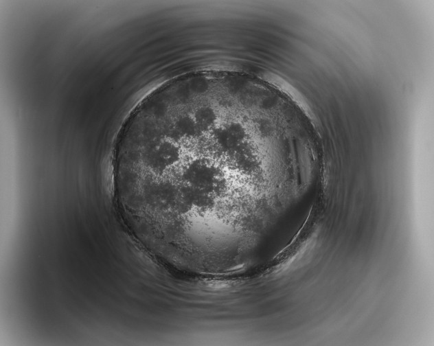 X0000095950829200801251128