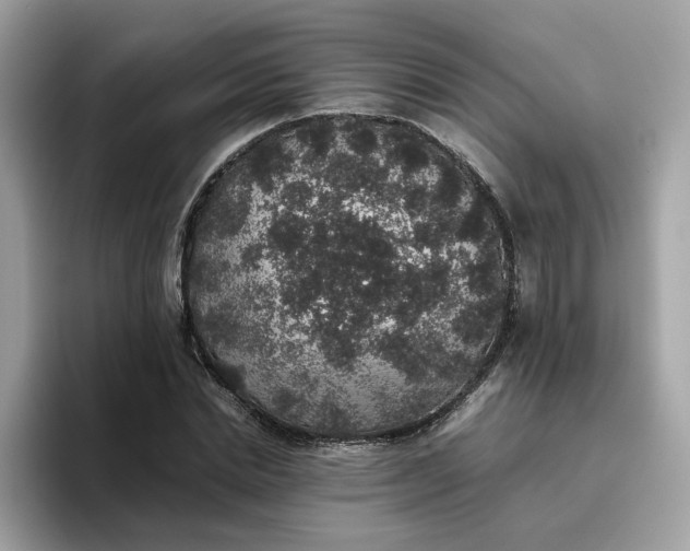 X0000095950830200801251128