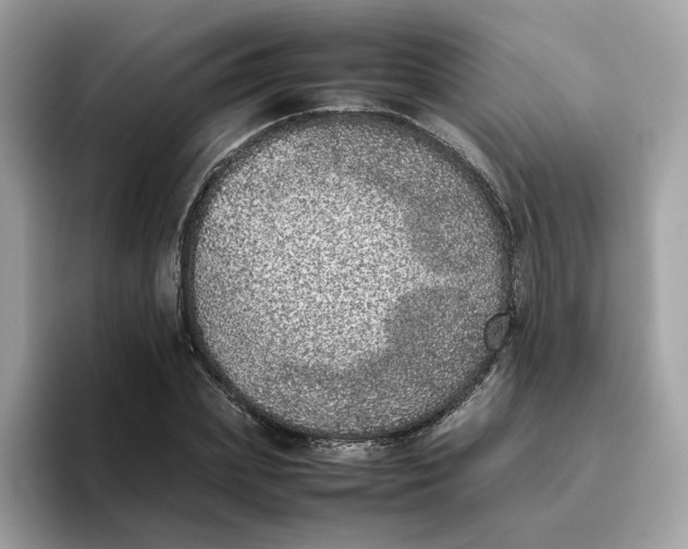 X0000095950831200801251128