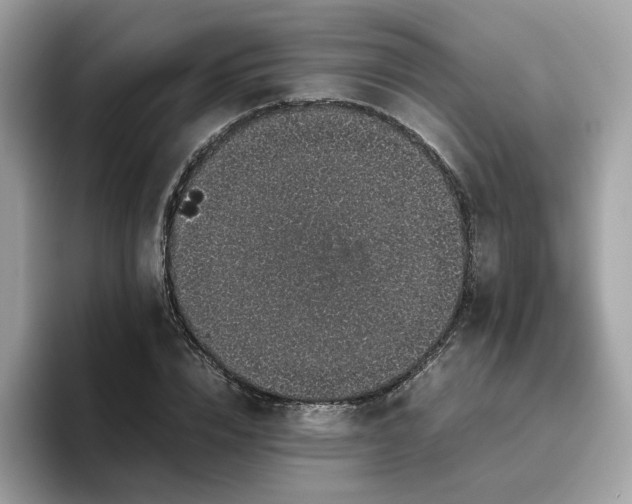 X0000095950832200801251128