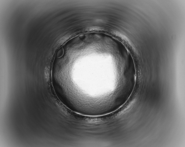 X0000095950833200801251128