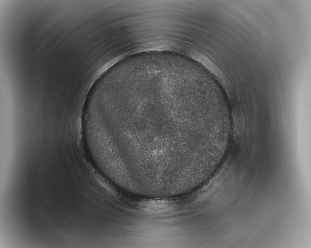 X0000095950834200801251128