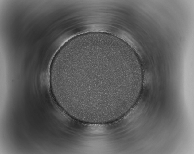 X0000095950836200801251128