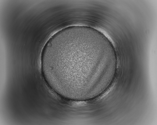 X0000095950837200801251128