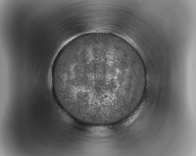 X0000095950838200801251128