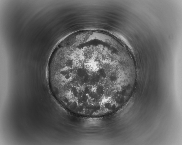 X0000095950839200801251128