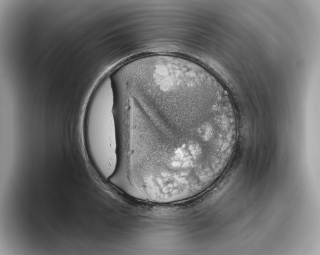 X0000095950840200801251128