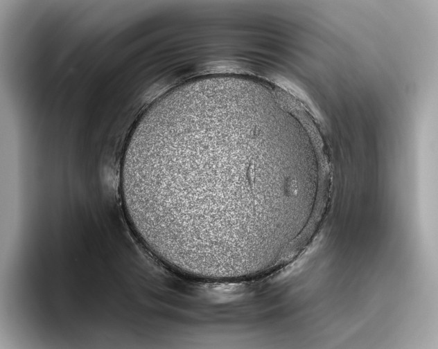 X0000095950841200801251128