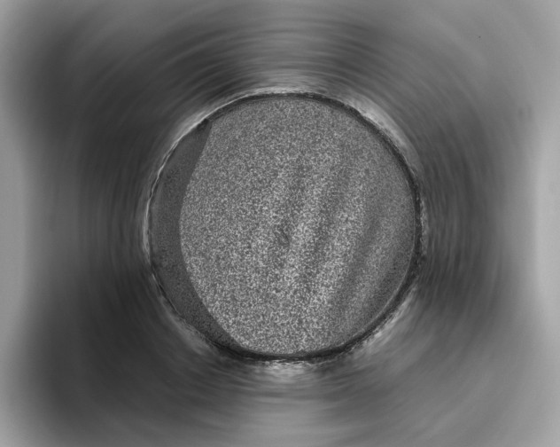 X0000095950842200801251128