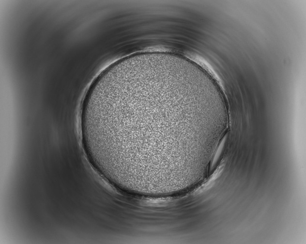 X0000095950843200801251128