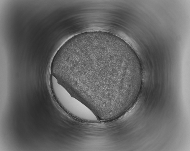 X0000095950844200801251128