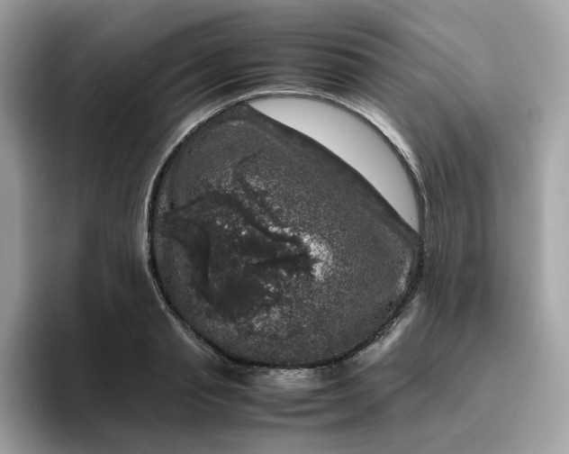 X0000095950845200801251128