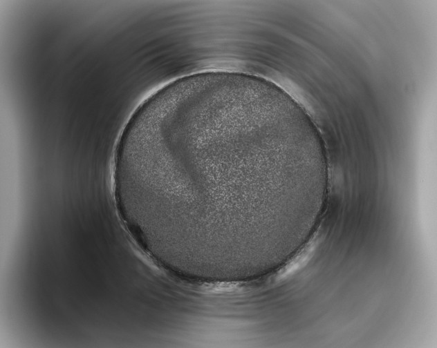 X0000095950846200801251128