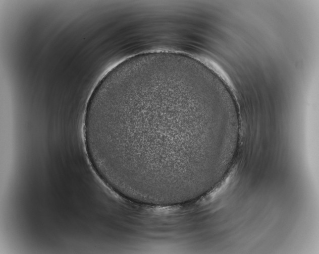 X0000095950847200801251128