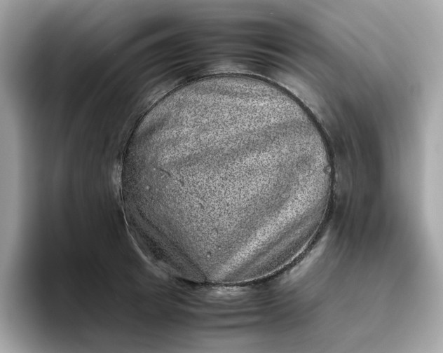 X0000095950849200801251128