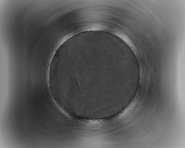 X0000095950850200801251128